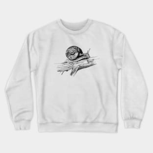 Garden Snail Ink Drawing Crewneck Sweatshirt